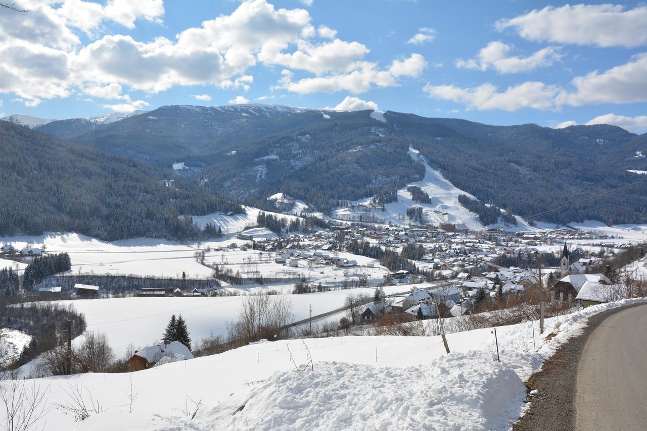 Haus Ingrid Apartment Sankt Georgen ob Murau Bagian luar foto